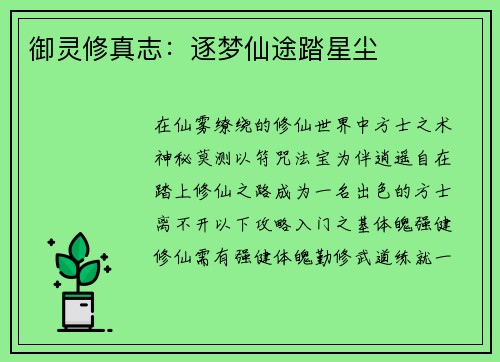 御灵修真志：逐梦仙途踏星尘