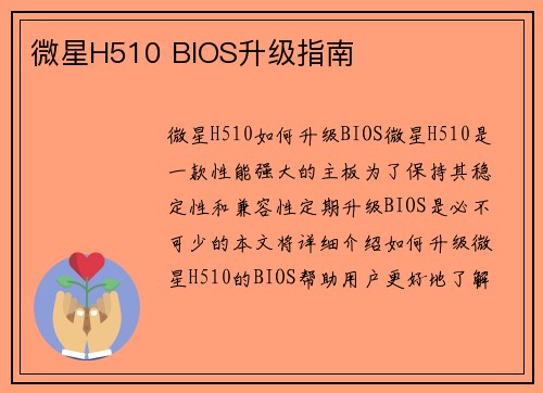 微星H510 BIOS升级指南